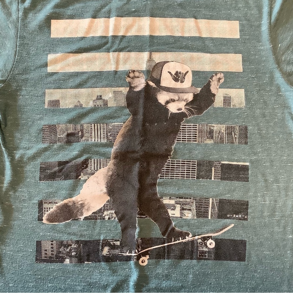 DIKOTOMY skateboarding red panda. Size M